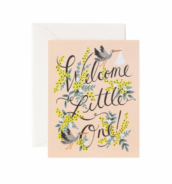 Welcome Little One, Stork