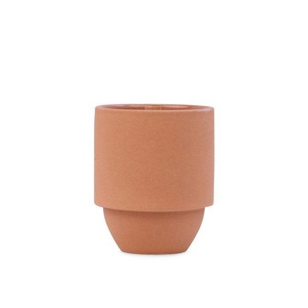 Cactus Flower & Fern, 11 oz