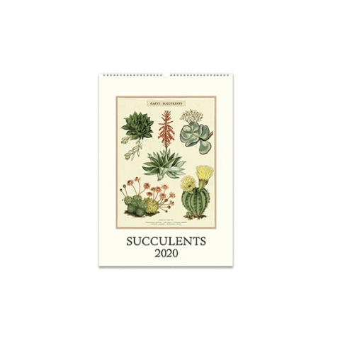 2020 Succulents Wall Calendar 