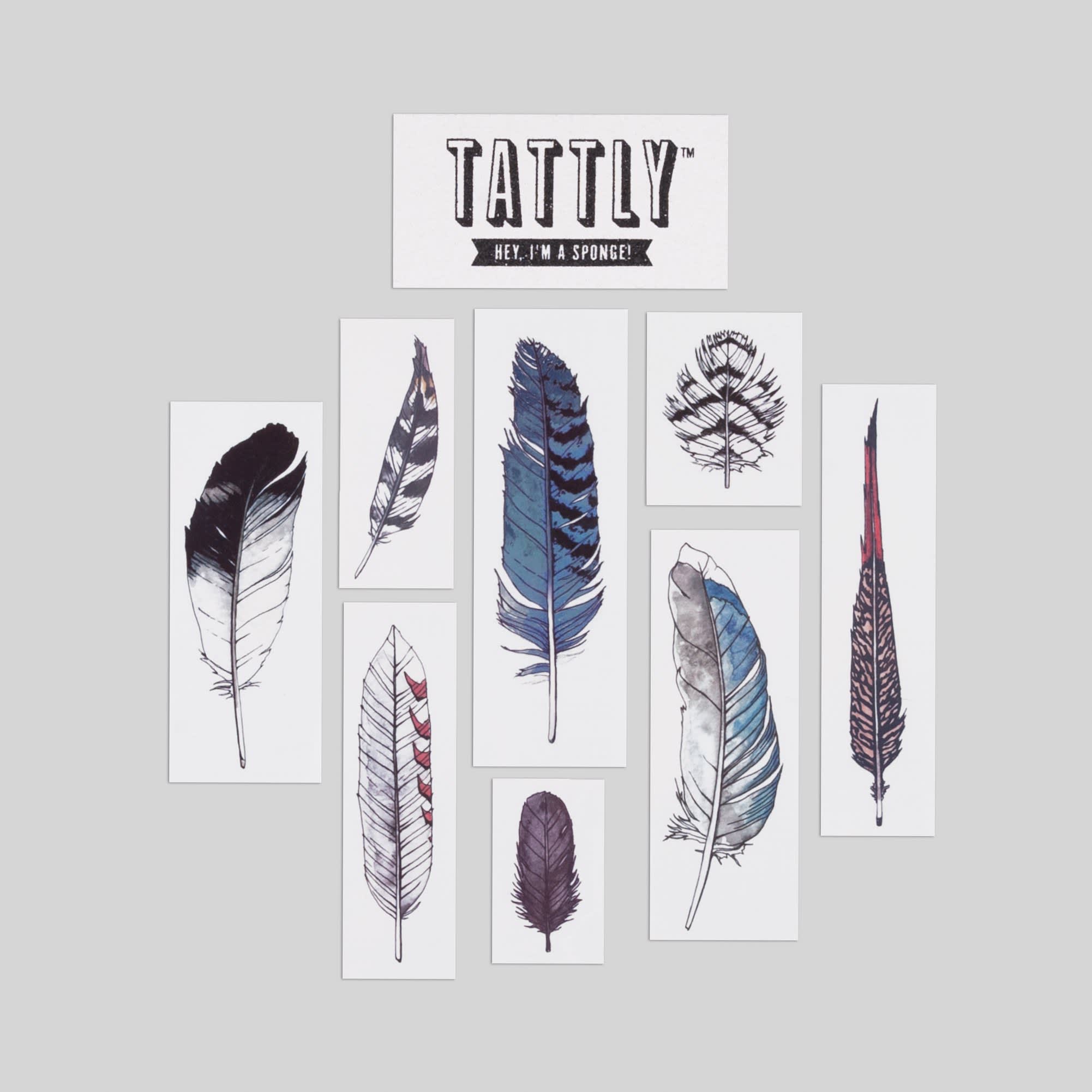 Tattoo Watercolor Feather Set Typo Market