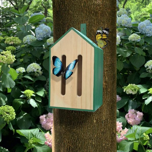 Little Butterfly House