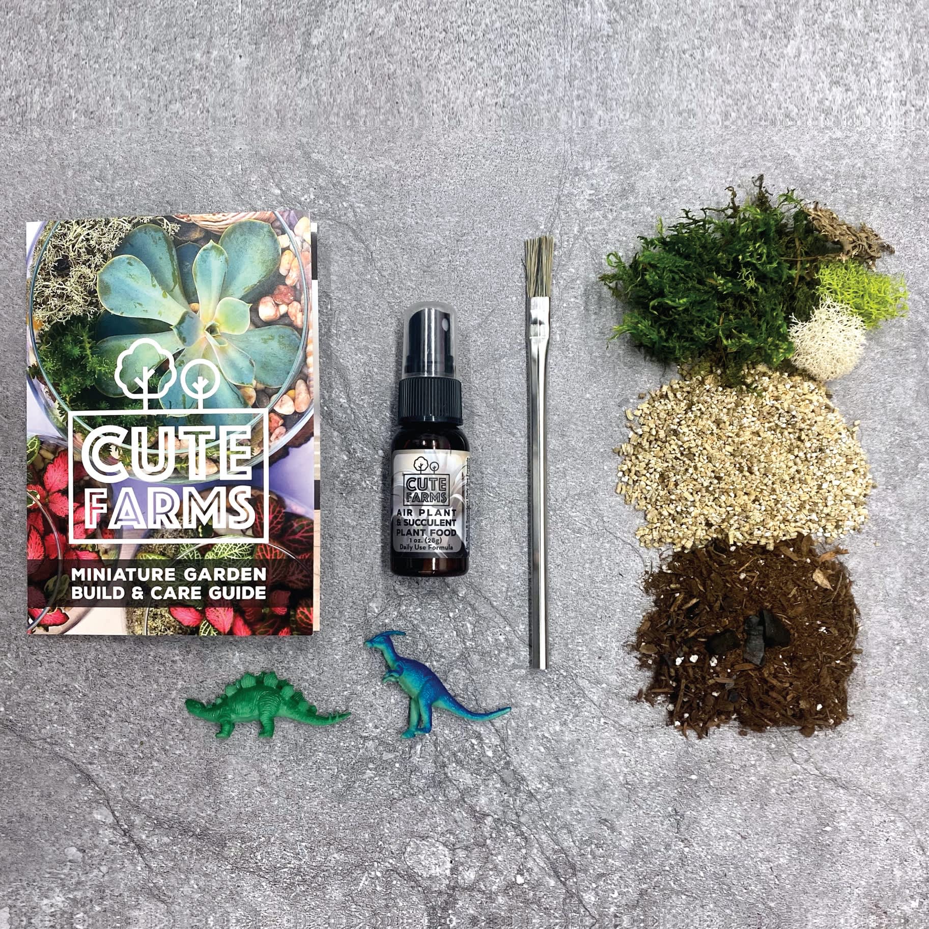 Terrarium Starter Kit Typo Market