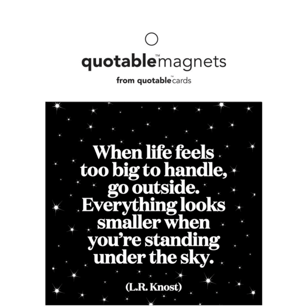 Life Feels Too Big Magnet