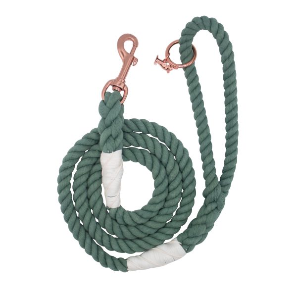 Rope Leash, Amazon