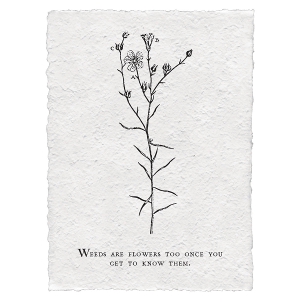 Print - Weeds Are Flowers Too