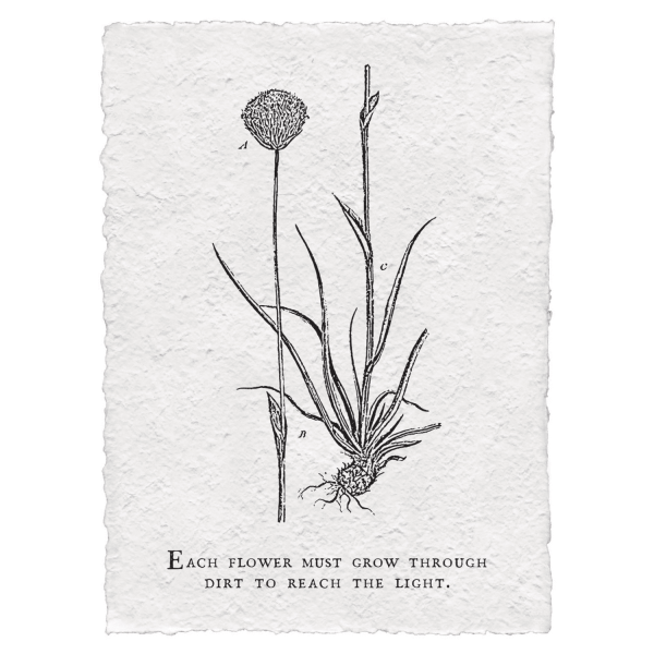 Print - Each Flower Must Grow