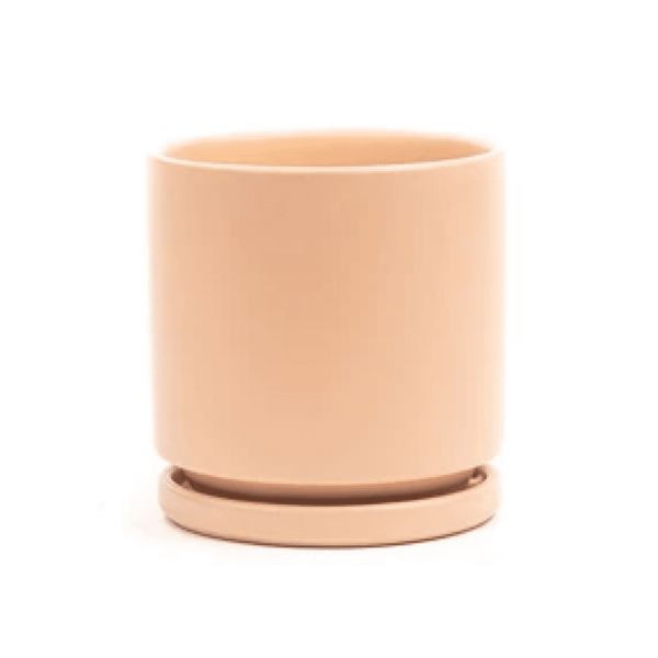 Cylinder Pot, Blush