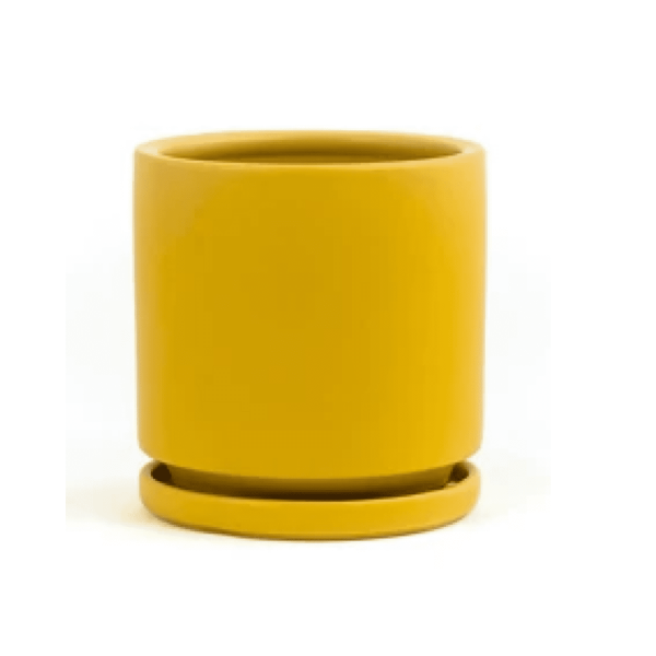 Cylinder Pot, Mustard