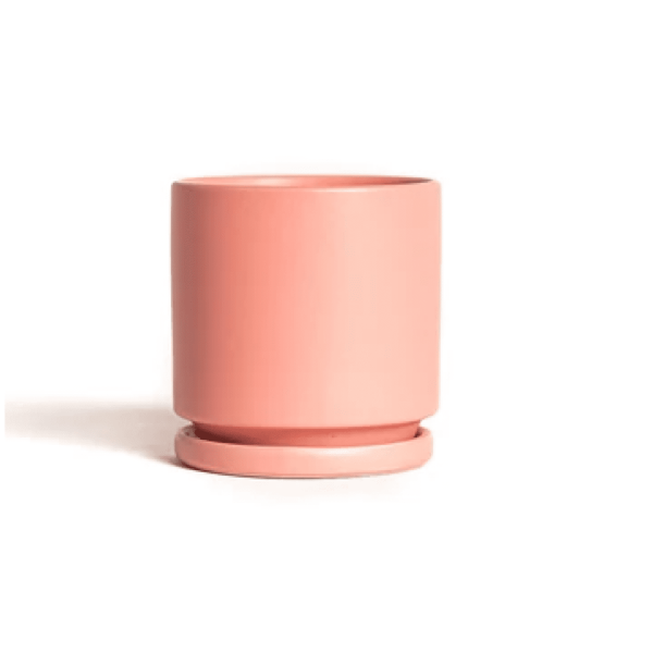 Cylinder Pot, Bubblegum