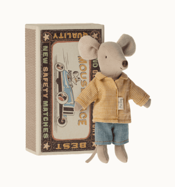Big Brother Mouse in Box