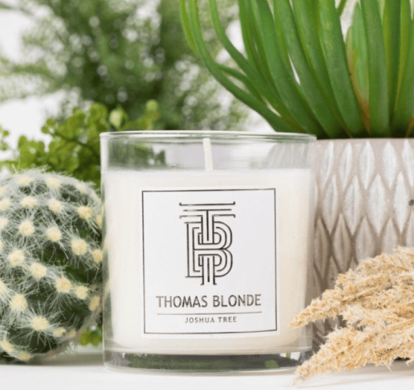 Joshua Tree Candle, 12 oz