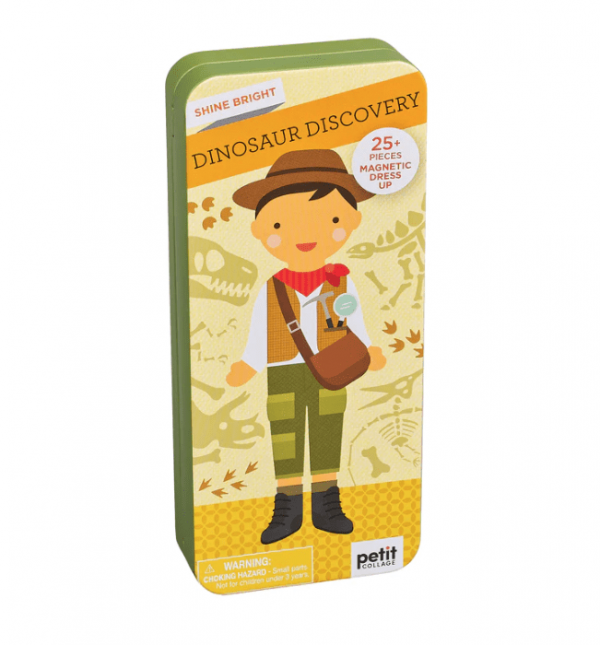 Dino Discovery Magnetic Play Set