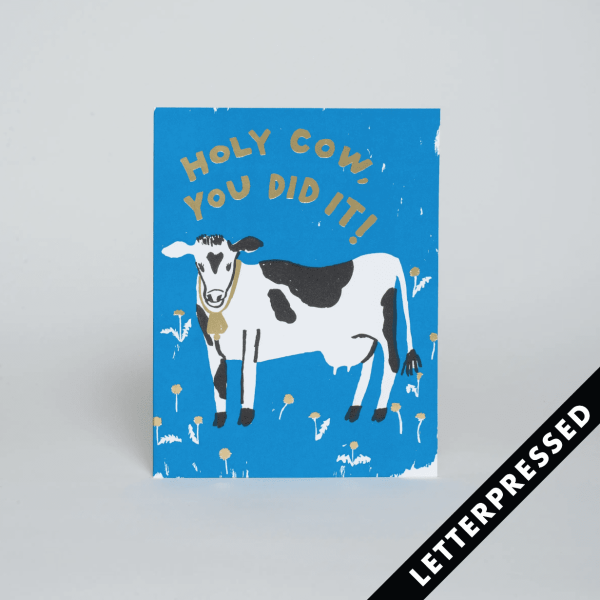Holy Cow Congrats