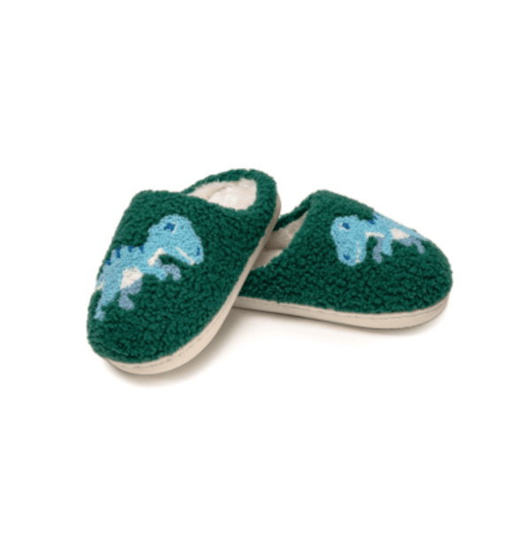 Kids Dino Slipper, Lg