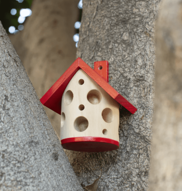 Ladybug House