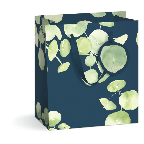 Pancake Plant Gift Bag, Md