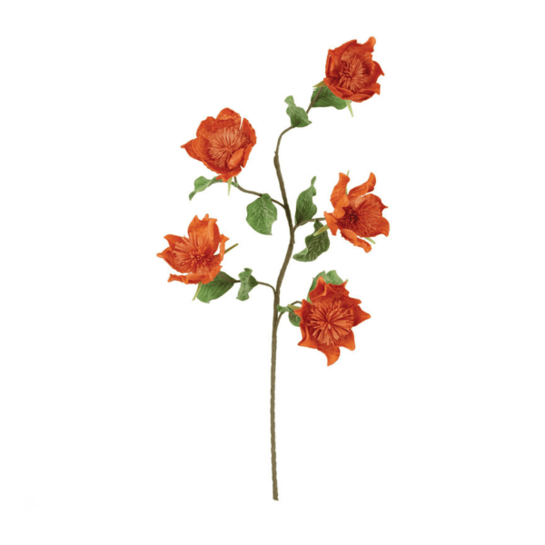 Botanica 3404 (Orange)