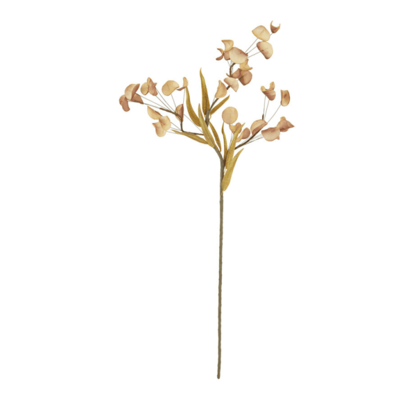 Botanica 3430 (Tan)
