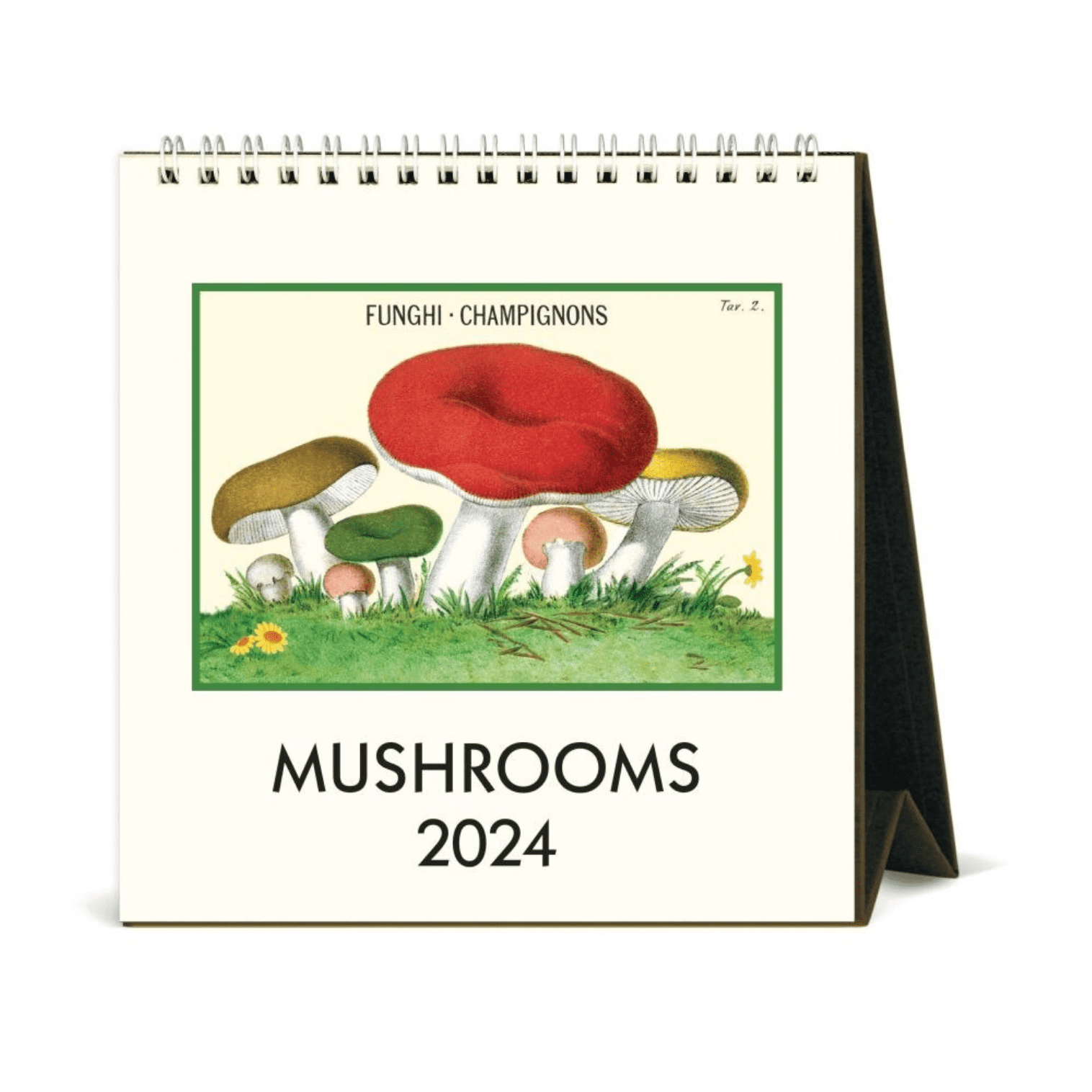 2024 Mushrooms Desk Calendar Typo Market
