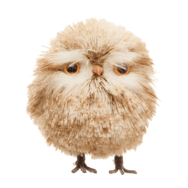 Standing Owl