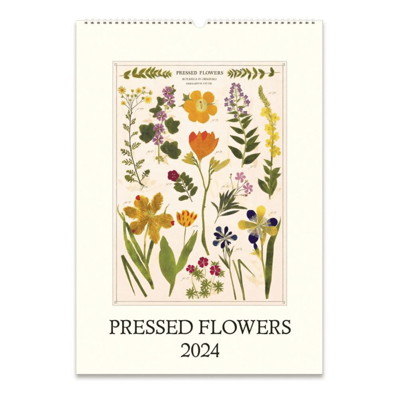 2024 Pressed Flowers Wall Calendar – Typo Market