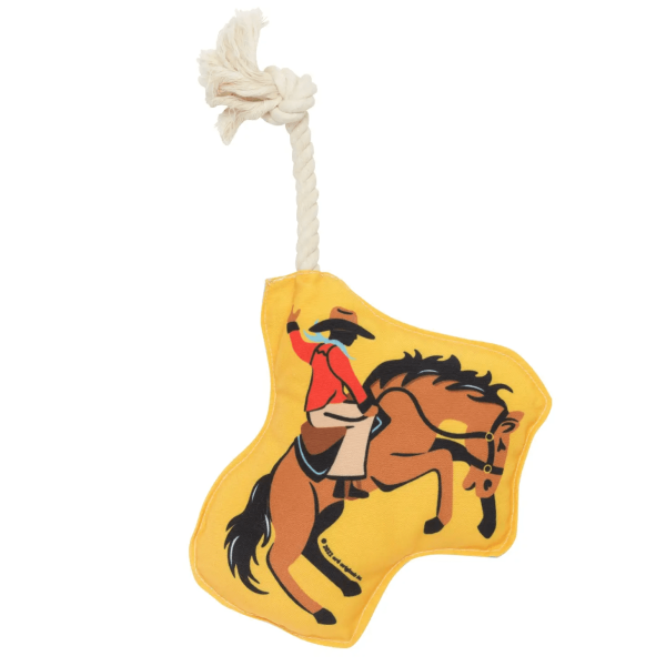 Rodeo Rope Toy