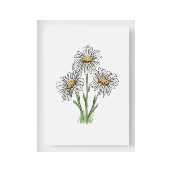 Daisy Art Print
