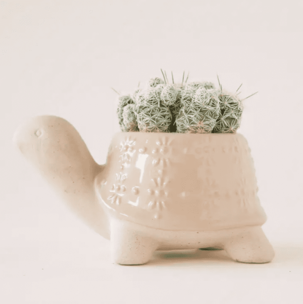 Turtle Planter, Sand/M
