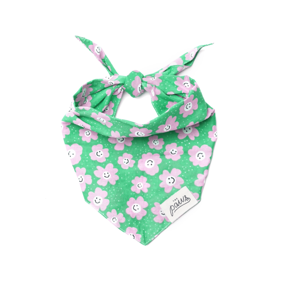 Ziggy Dog Bandana, Md