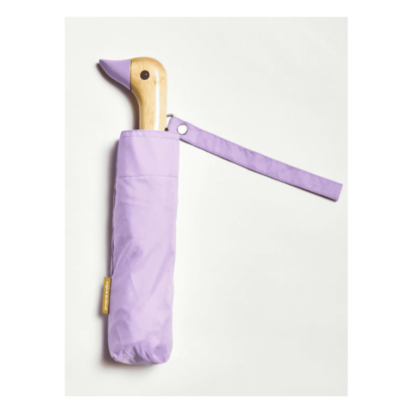 Lilac Umbrella