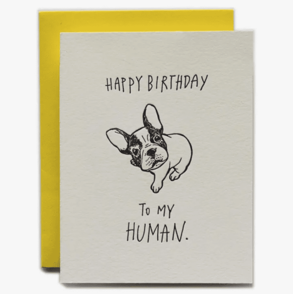Happy Birthday Human, Dog