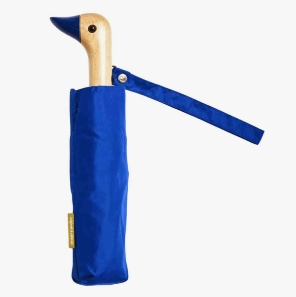 Royal Blue Umbrella