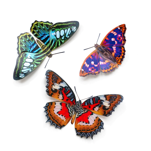 'Quartz' Butterfly Set
