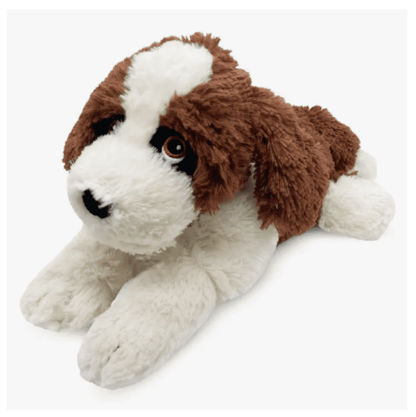 St. Bernard Warmie