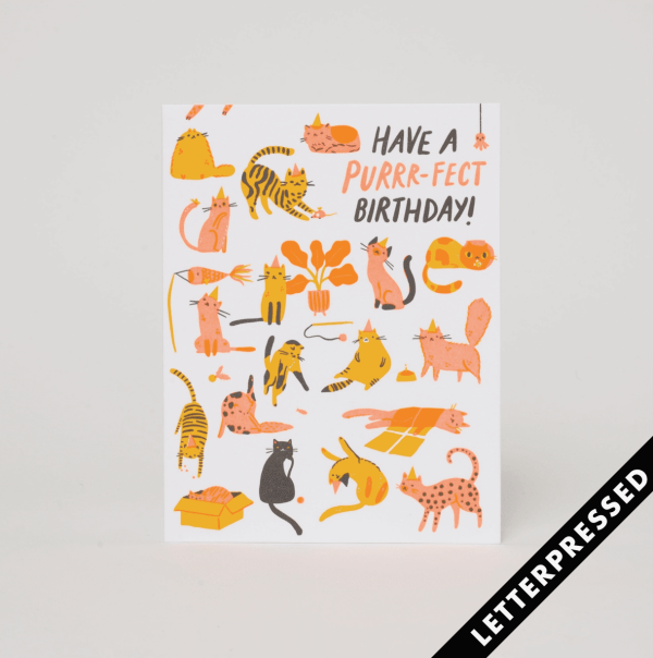 Purr-fect Cats Birthday
