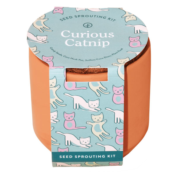 Tiny Terracotta, Curious Catnip