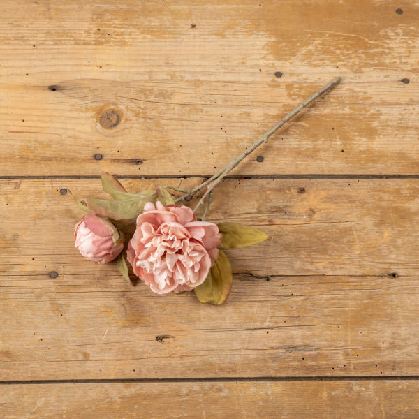 Pink Peony Pick
