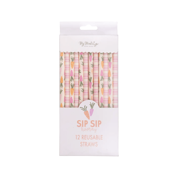 Carrots & Stripes Reusable Straws