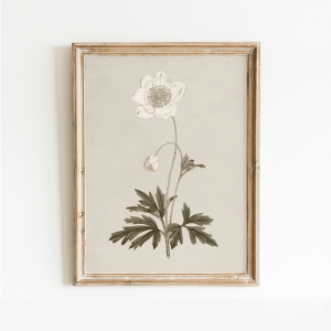 French Gray Botanical Print, 8x10