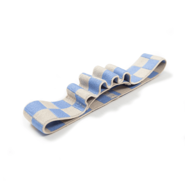 Blue Check Pen Holder Book Band