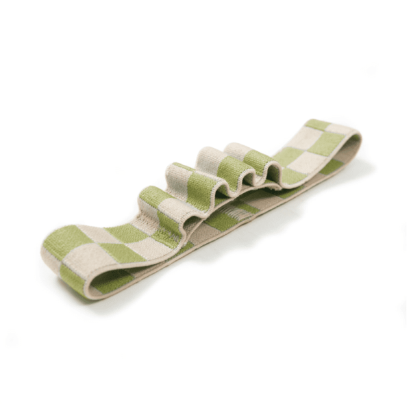 Green Check Pen Holder Book Band