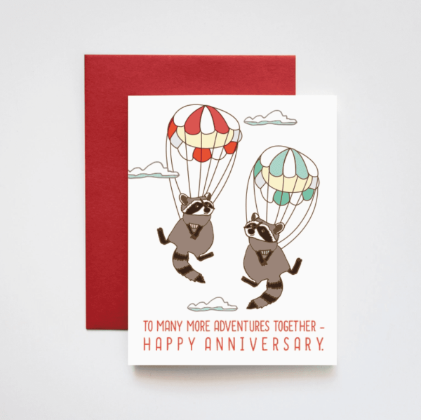 Sky Diving Raccoons