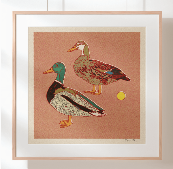 Mallard Ducks Print