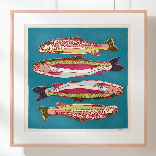 Rainbow & Brown Trout