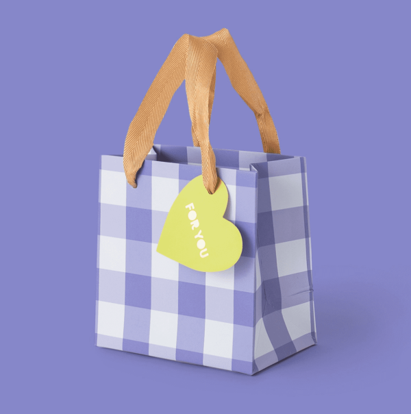 Blue Gingham Gift Bag, Sm