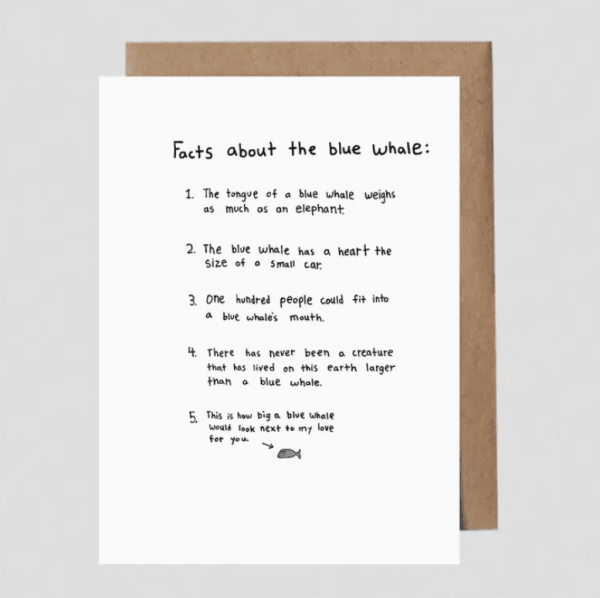 Facts About A Blue Whale Card
