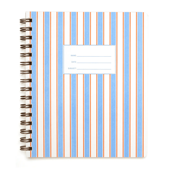 Standard Notebook: French Stripes