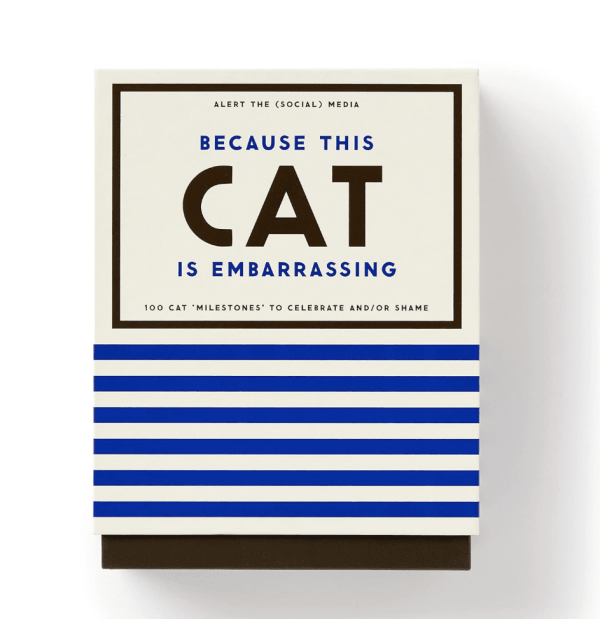 Because This Cat is Embarrassing
