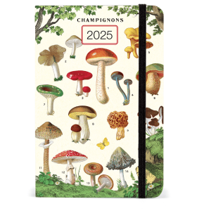 2025 Mushrooms  Weekly Planner