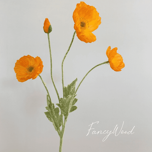 Orange Poppy Spray